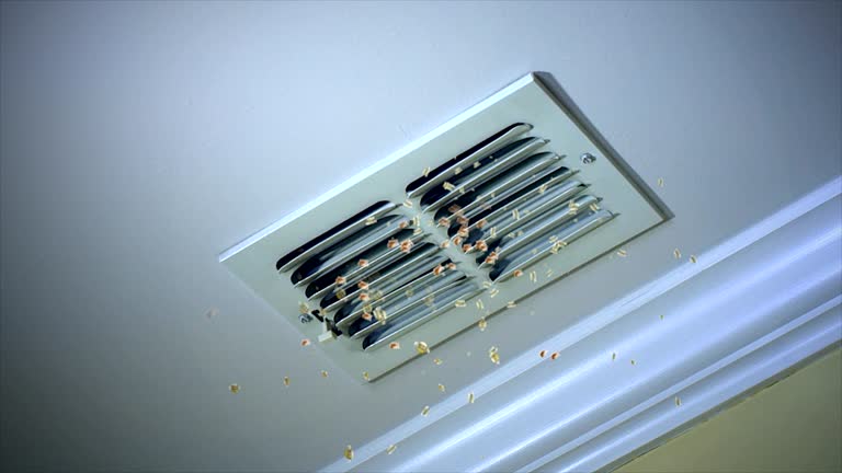 Best Emergency Air Duct Cleaning  in Duvall, WA